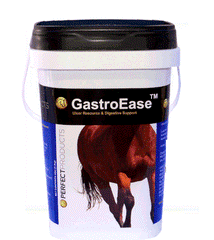 GastroEase EQ By Perfect Prep