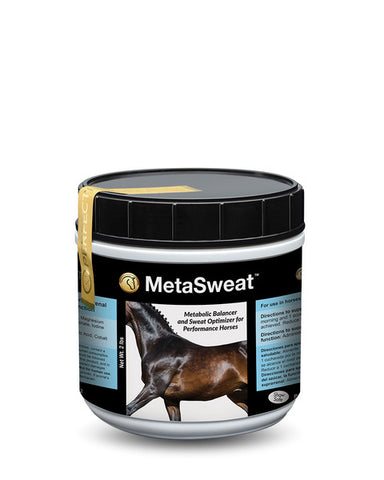 MetaSweat