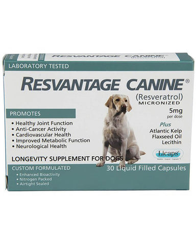 Resvantage – Canine