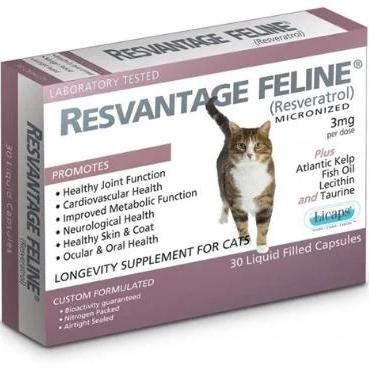 Resvantage – Feline