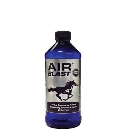 Air Blast Herbal Support 450 ml