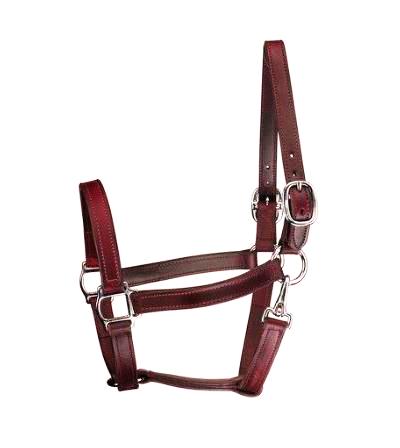 Halter, Leather and Chrome