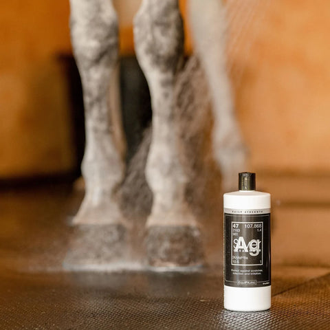 Equifit AgSilver Daily Strength CleanWash™