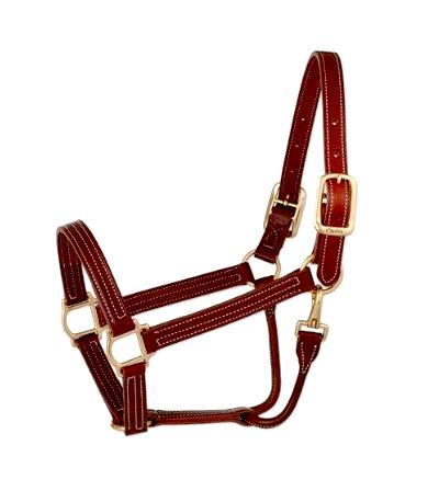 Halter, Leather and Brass